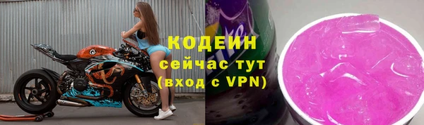 сатива Надым