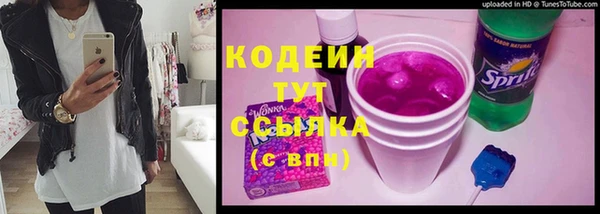 сатива Надым