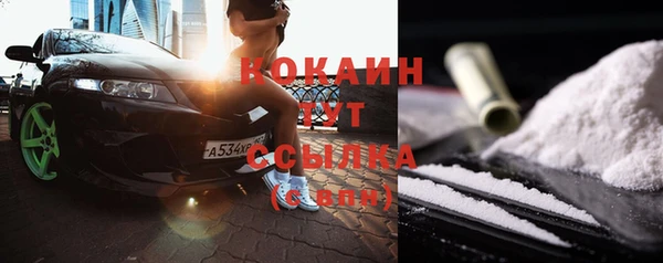 сатива Надым