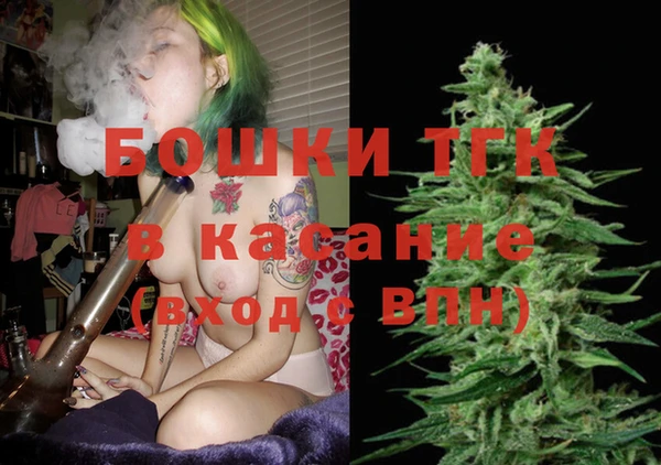 сатива Надым