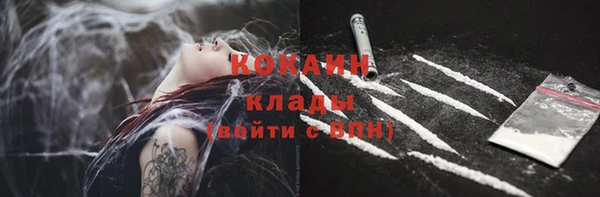ПСИЛОЦИБИНОВЫЕ ГРИБЫ Навашино