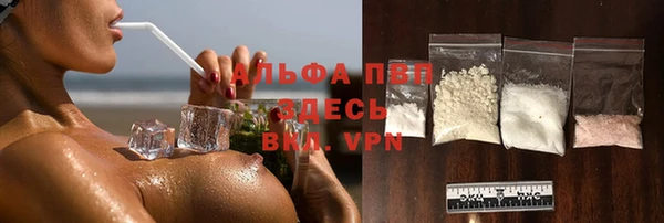 сатива Надым