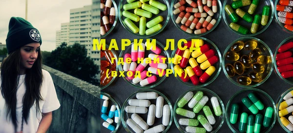 сатива Надым
