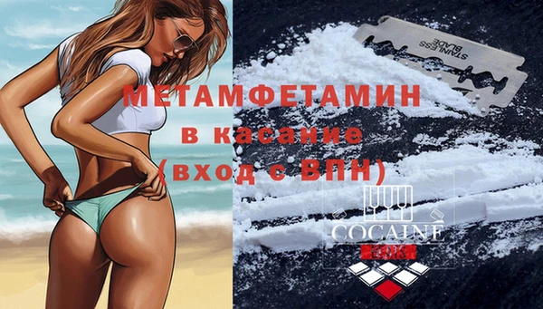 сатива Надым